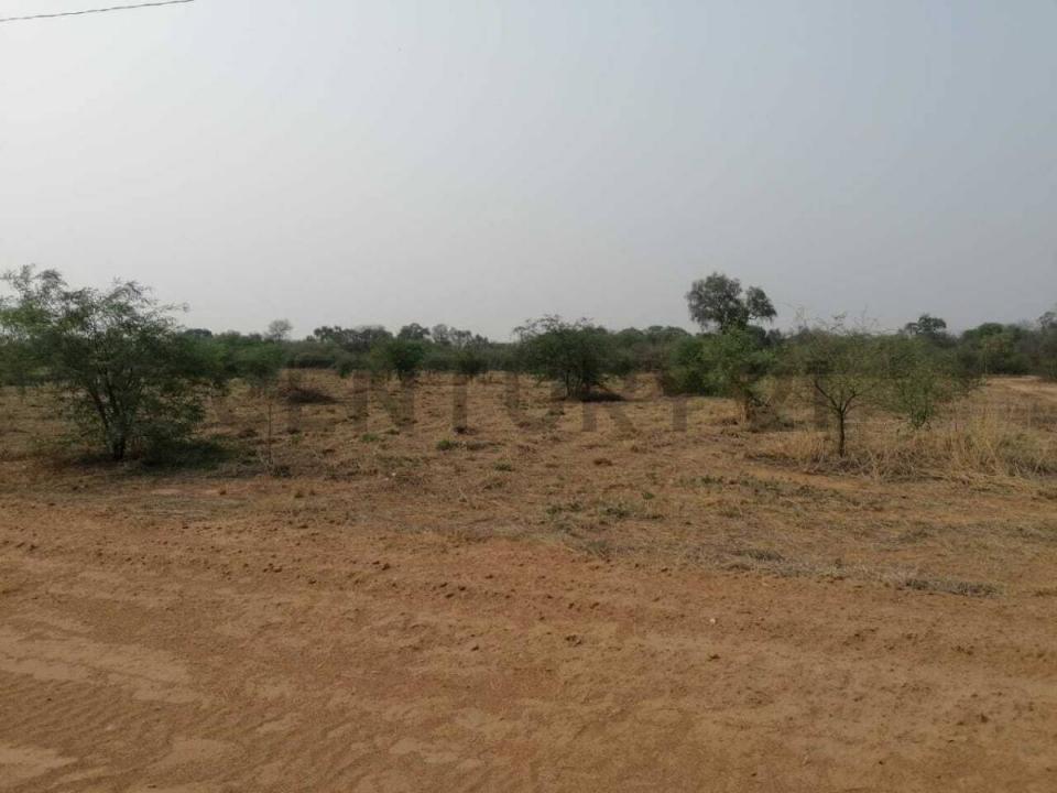 Filadelfia, Boquerón 00001, 巴拉圭