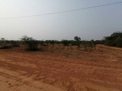 Filadelfia, Boquerón 00001, 巴拉圭