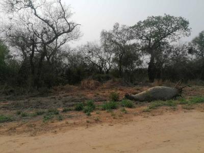 Filadelfia, Boquerón 00001, 巴拉圭