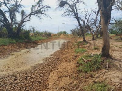 Cruce Boquerón, Boquerón 00001, パラグアイ