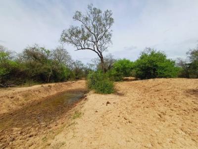 Cruce Boquerón, Boquerón 00001, パラグアイ