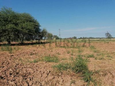 Loma Plata, Boquerón 00001, Paraguay
