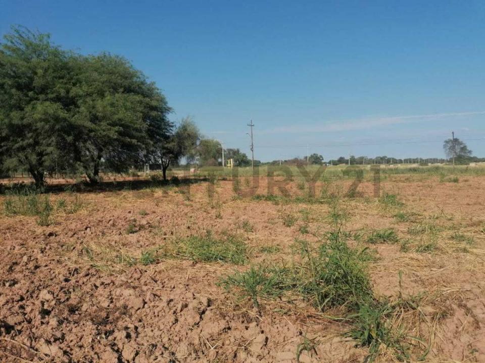 Loma Plata, Boquerón 00001, Paraguai