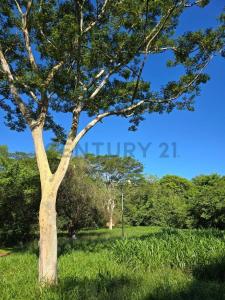 Mariano Roque Alonso, Central 00001, Paraguay