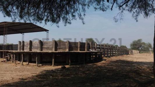 Mariscal José Félix Estigarribia, Boquerón 00001, Paraguai