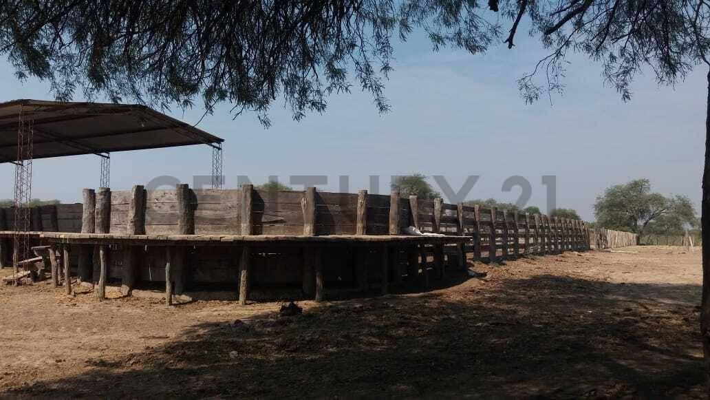 Mariscal José Félix Estigarribia, Boquerón 00001, Paraguay