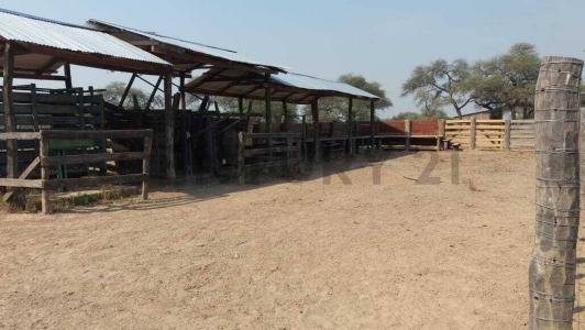Mariscal José Félix Estigarribia, Boquerón 00001, Paraguay
