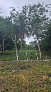 San Bernardino, Cordillera 00001, Парагвай