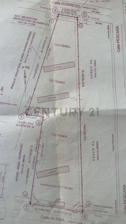 ALSINA , Maipú, Mendoza 00001, Argentina