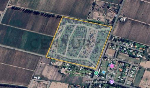 gobernador ortiz ., Luján De Cuyo, Mendoza 00001, Argentina