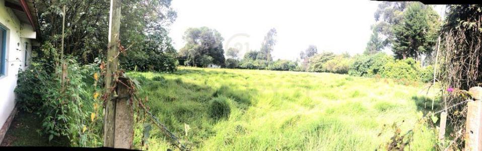 Cota, 昆迪納馬卡 250010, 哥倫比亞