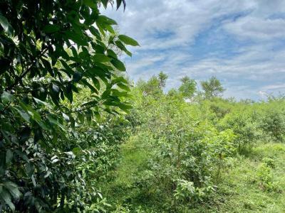 Cali, Valle Del Cauca 76008, Colombia