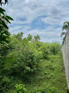 Cali, Valle Del Cauca 76008, Colombia