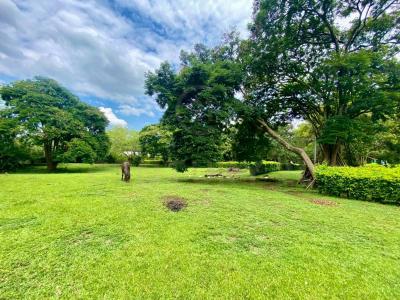 Cali, Valle Del Cauca 00001, Kolombiya