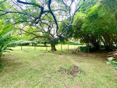 Cali, Valle Del Cauca 00001, Kolombiya