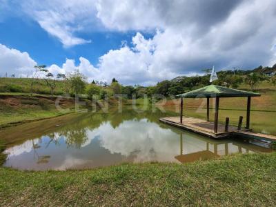 Dagua, Valle Del Cauca 00001, Colombia