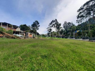 Cali, Valle Del Cauca 00001, Colombia