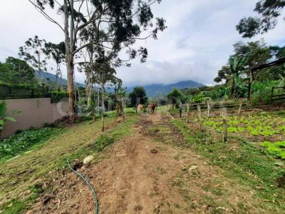 Cali, Valle Del Cauca 00001, Colombia