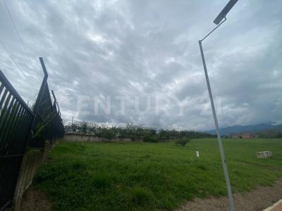 Cali, Valle Del Cauca 00001, Kolumbia