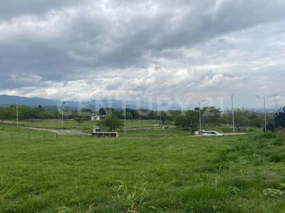 Cali, Valle Del Cauca 00001, Kolumbia