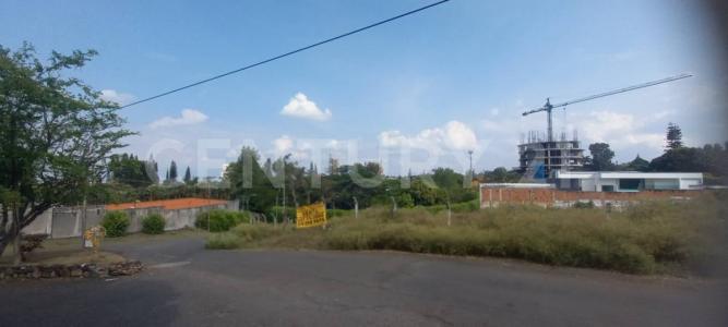 Cali, Valle Del Cauca 00001, Colombia