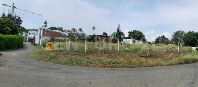 Cali, Valle Del Cauca 00001, Colombia