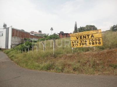 Cali, Valle Del Cauca 00001, Colombia