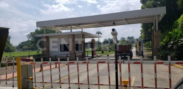 Cali, Valle Del Cauca 00001, Colombia