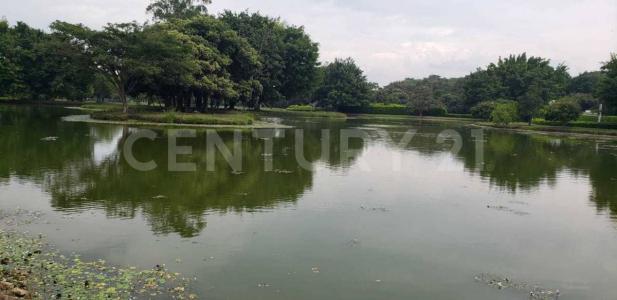 Cali, 考卡山谷 00001, 哥伦比亚