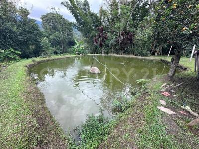 San Francisco, كونديناماركا 00001, كولومبيا