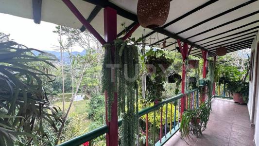 San Francisco, كونديناماركا 00001, كولومبيا