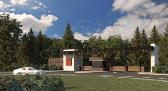 Medellín, Antioquia 0000, Colombia