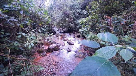 La Estrella, Antioquia 0000, Colombia