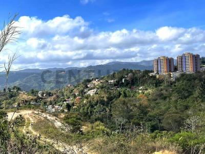 Sector La Loma, Carretera La Unión vía Corralito Terreno, Caracas, Miranda 1083, Venezuela