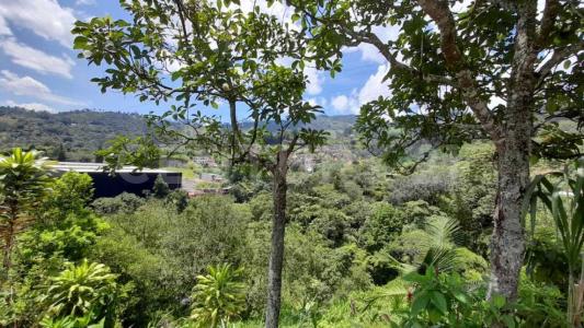 La Estrella, Antioquia 0000, Colombia