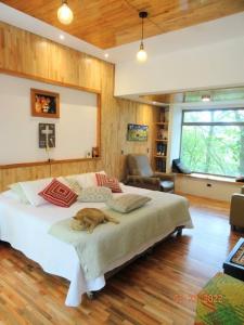 Envigado, Antioquia 00001, Colombia