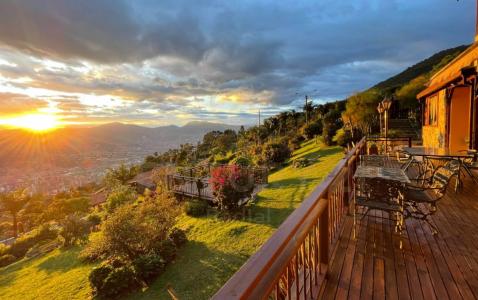 Medellín, أنتيوكيا 00001, كولومبيا 