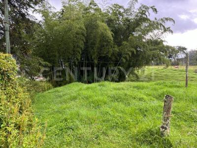 La Ceja, Antioquia 00001, Colombia