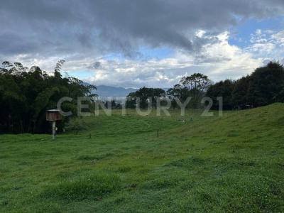 La Ceja, Antioquia 00001, Colombia