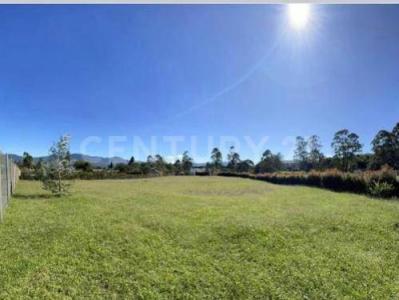 La Ceja, Antioquia 00001, Colombia