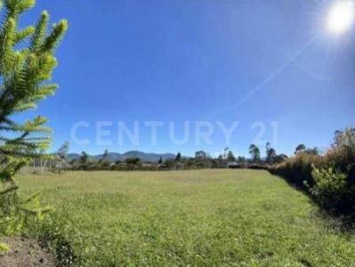 La Ceja, Antioquia 00001, Colombia