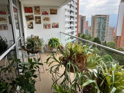 Medellín, Antioquia 00001, Colombia
