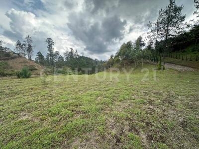 Medellín, Antioquia 00001, Colombia