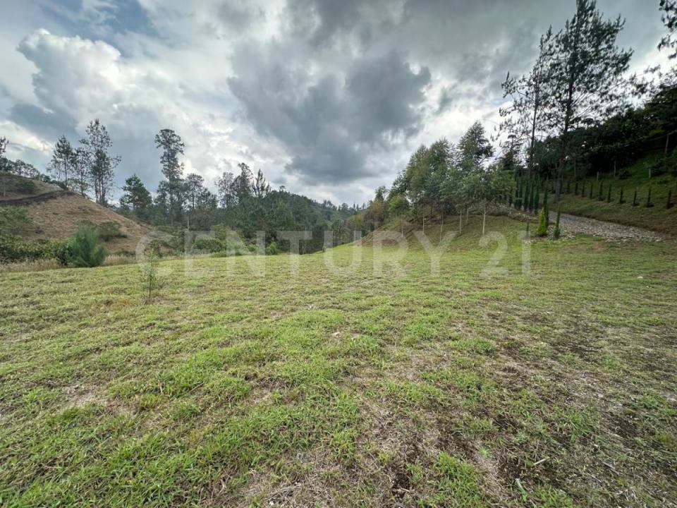 Medellín, Antioquia 00001, Colombia