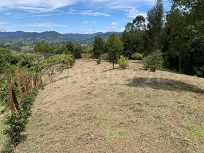 Rionegro, Antioquia 00001, Colombia