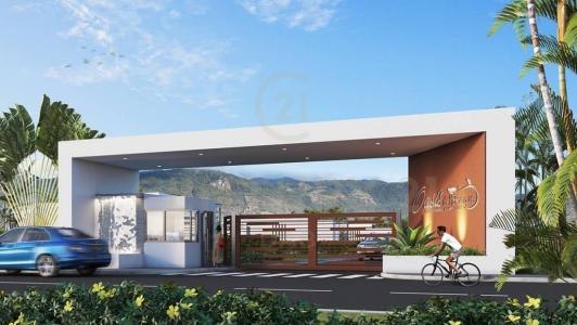 Armenia, Quindío +57, Colombia