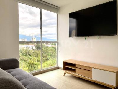 Armenia, 金迪奥 00001, 哥伦比亚