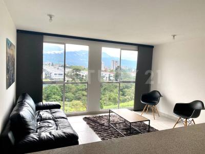 Armenia, 金迪奥 00001, 哥伦比亚