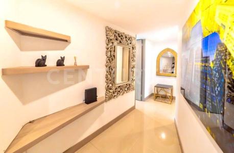 Armenia, 金迪奥 00001, 哥伦比亚