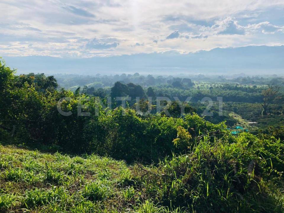 Alrededores Armenia, Quindío 633001, Colombia